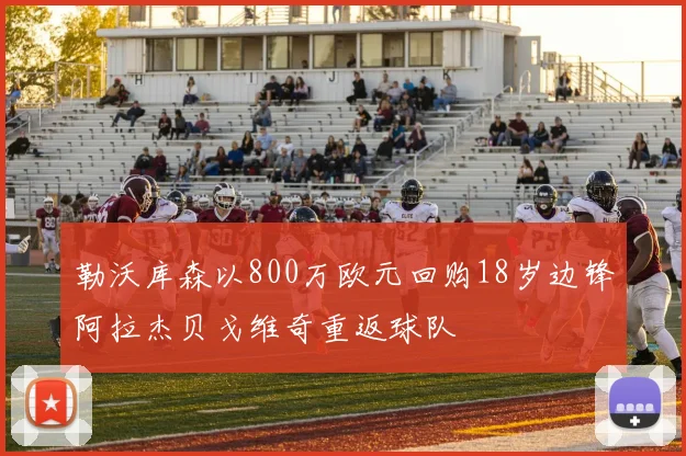 勒沃库森以800万欧元回购18岁边锋阿拉杰贝戈维奇重返球队