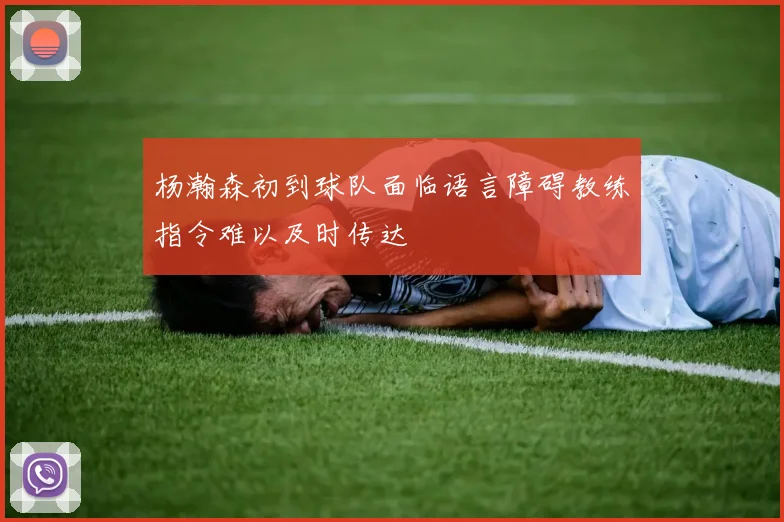 杨瀚森初到球队面临语言障碍教练指令难以及时传达