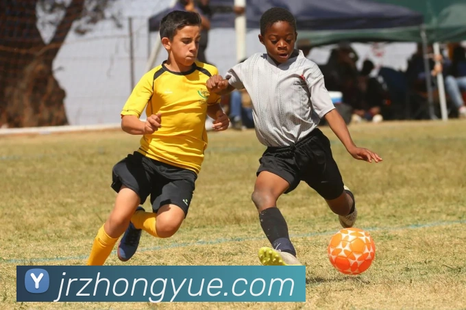 星空平台app官网入口服务体系